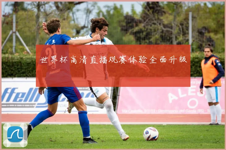 世界杯高清直播观赛体验全面升级