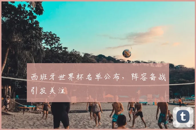 西班牙世界杯名单公布,阵容备战引发关注