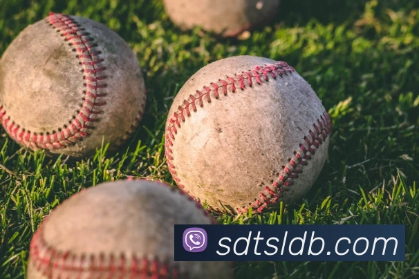 奖项3